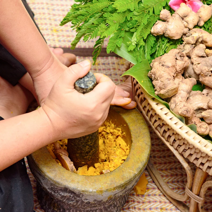 Fresh Ayurvedic herbs and ginger root used by Bioqem, an Ayurvedic company in Bangalore