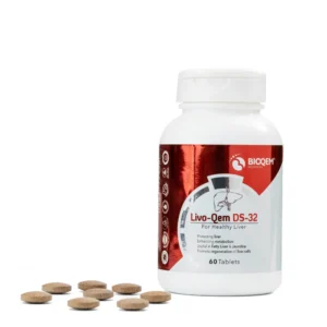 LivoQem DS-32 bottle with tablets – liver support tablet