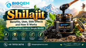 Shilajit: Benefits, Uses, Side Effects and How It Works (A Complete Guide in Simple Words)