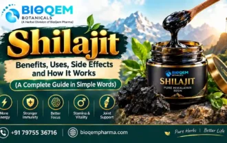 Shilajit benefits guide: what shilajit is, its uses, side effects and how it works, explained in simple words