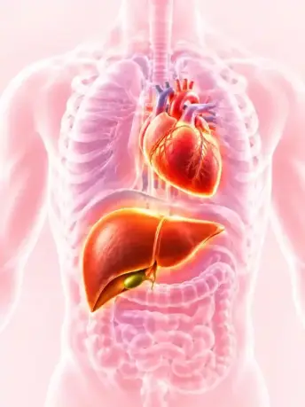 Bioqem Ayurvedic heart and liver care products